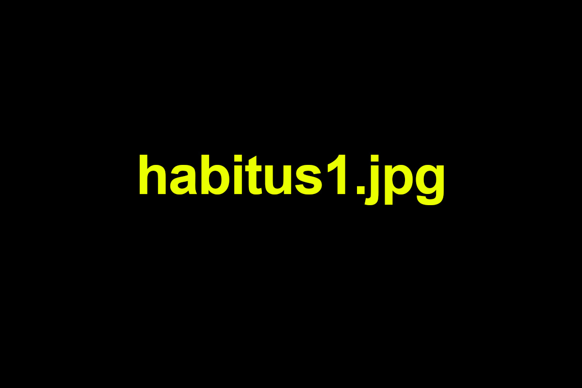 Habitus y algoritmo